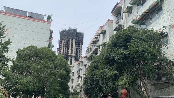 建设巷19号外景图