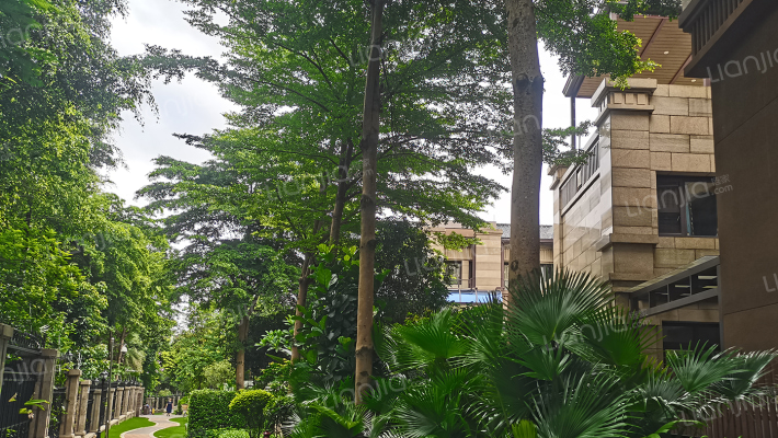 荣和公园墅外景图