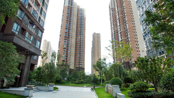 福星惠誉榜YOUNG外景图