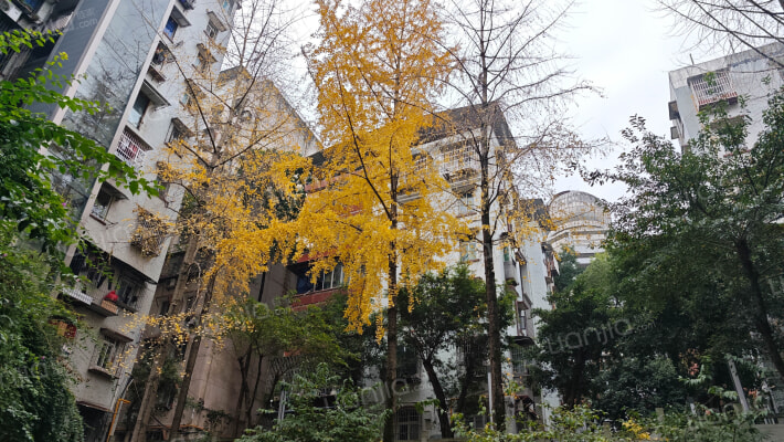 粮食小区外景图