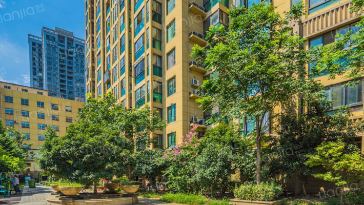 金色梧桐外景图