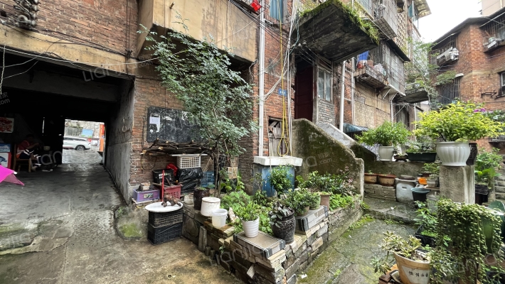 东新路45号外景图