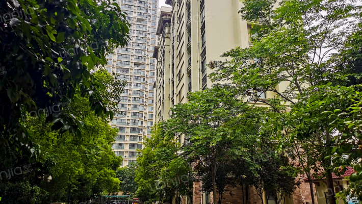 百洋欧典二期外景图