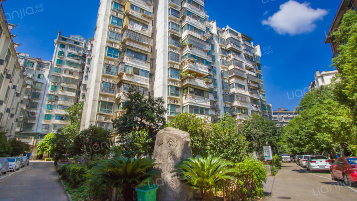 金隆華府外景图