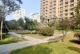 华发新城41