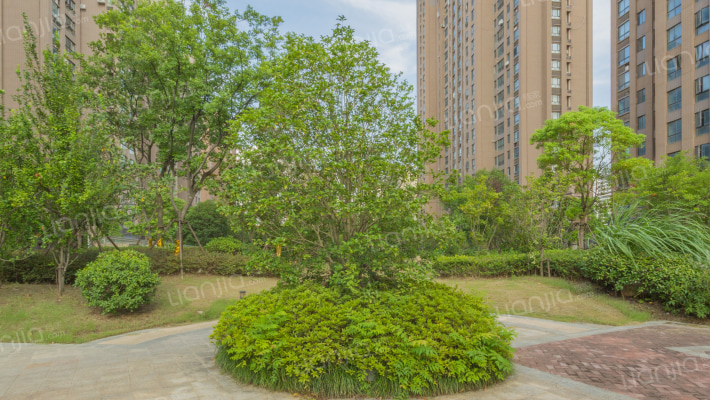 桂花小镇外景图