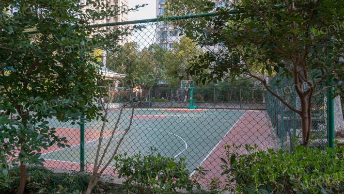 三湘四季花城外景图