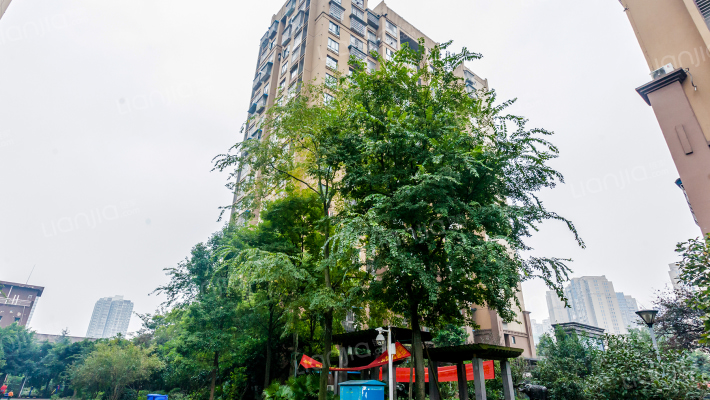 璧河国际外景图