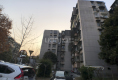 常青花园第一社区15