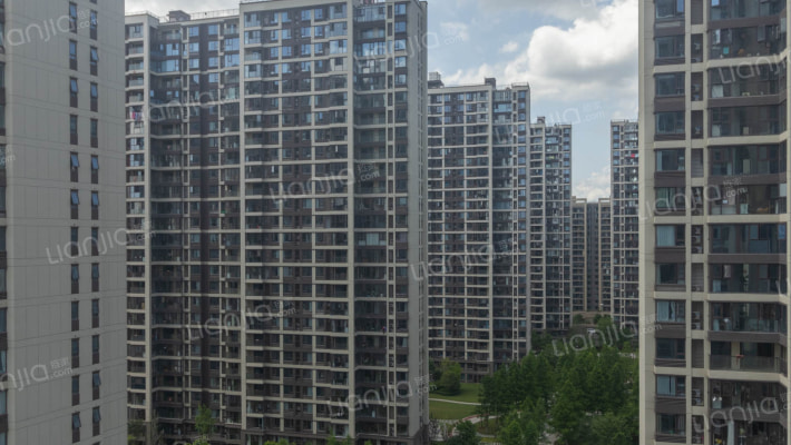 金地中奥九颂都会之光外景图