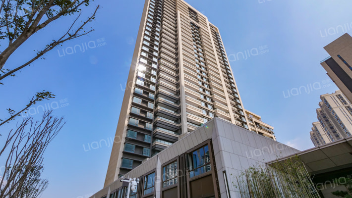 金投铂翠中央外景图