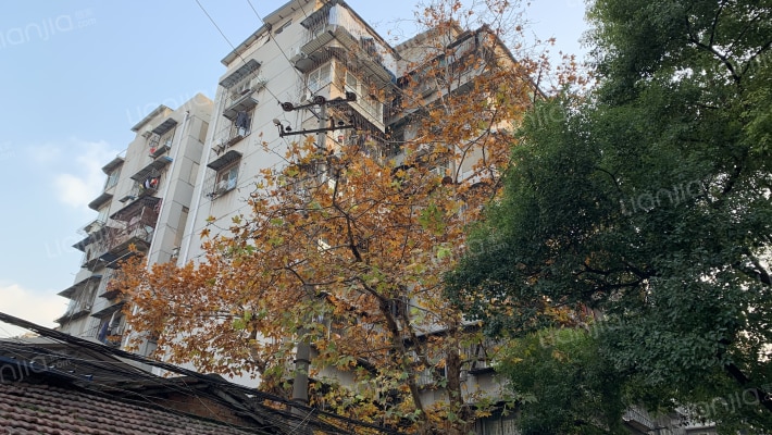 小东门社区外景图