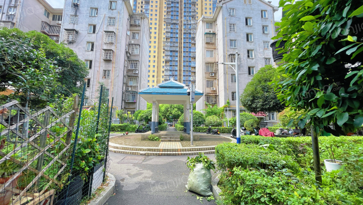 新桥小区外景图