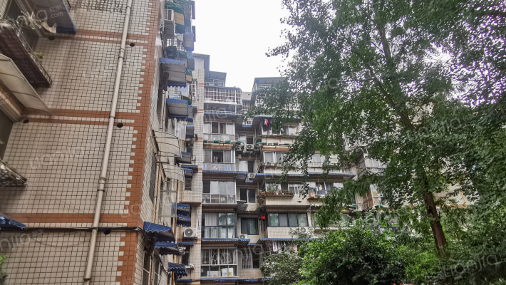 九里苑(星辰一巷)外景图