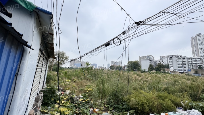 新生街21号外景图