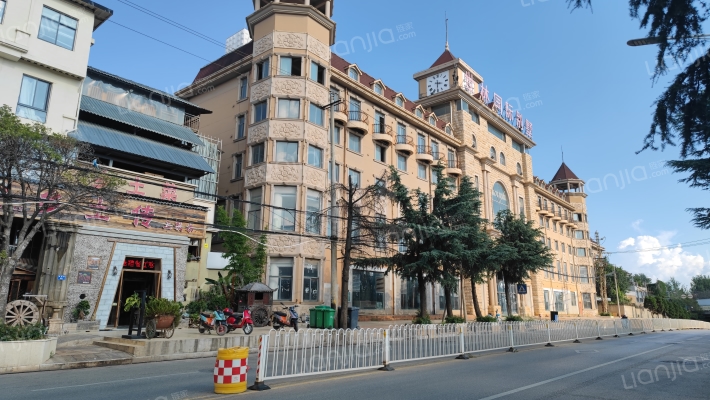 世林国际别墅外景图