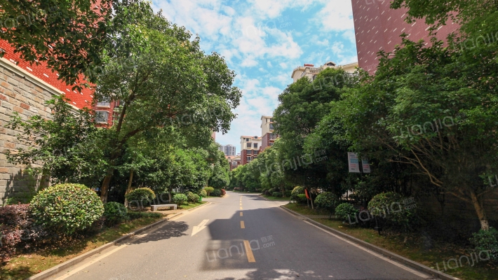 世纪星城外景图