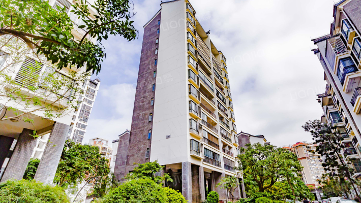 荷塘物语外景图