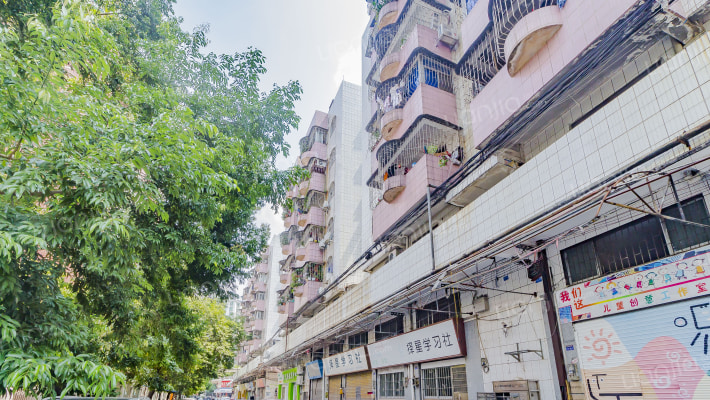 白沙路外景图