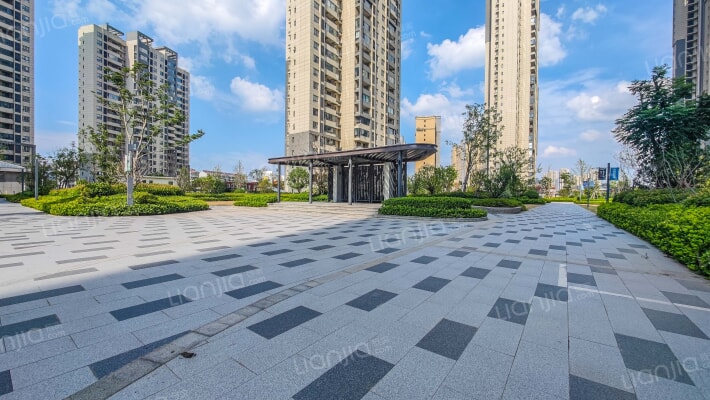 鱼先生的时代外景图