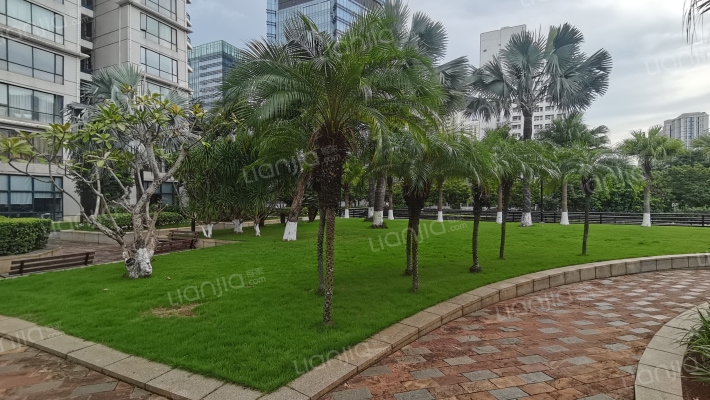 棕榈公寓外景图