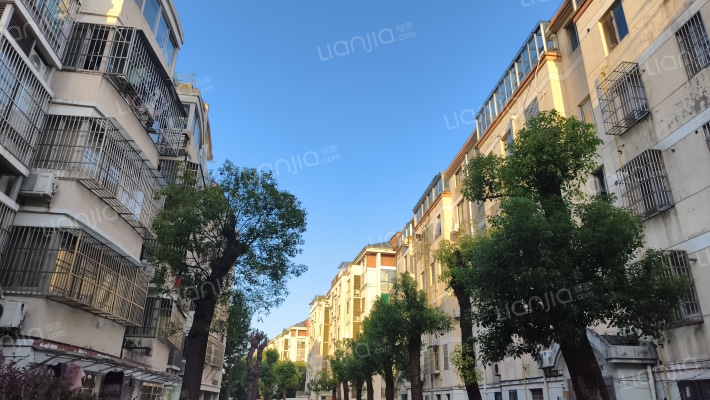 金星花苑（二区）外景图