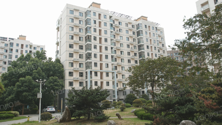 香樟里那水岸外景图