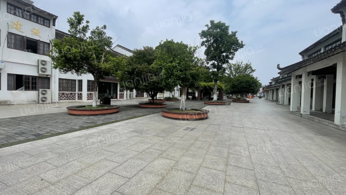 芦苇荡路外景图
