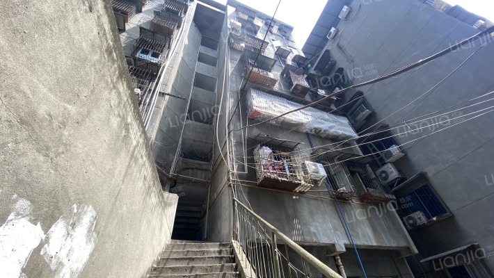 五友大道中段183号外景图