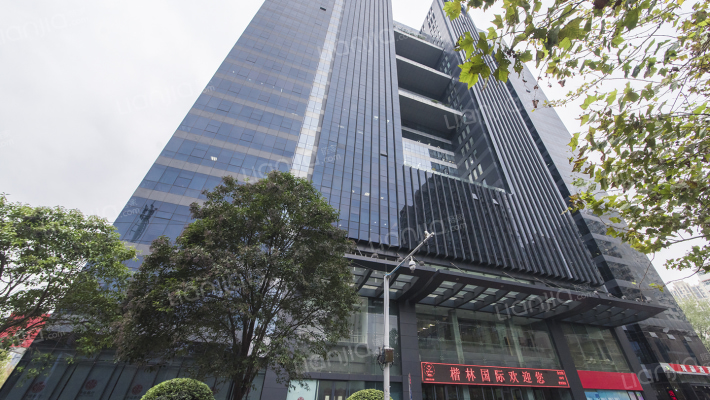 楷林国际外景图