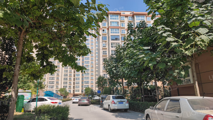 金帝新生活外景图