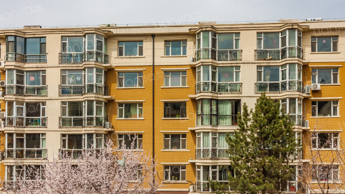 郁金花园外景图