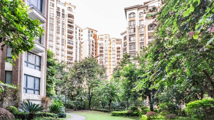 龙光普罗旺斯薰衣草外景图