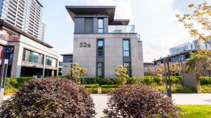 金樾玖著外景图