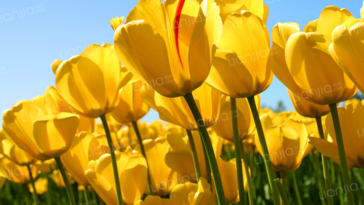 测试-徐州-VR测试楼盘002外景图