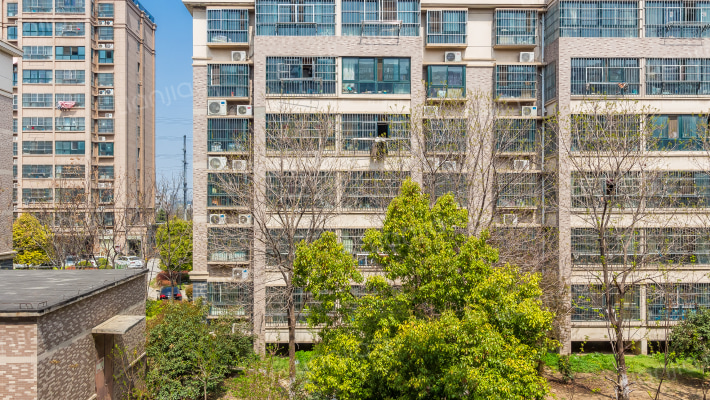 西贺花园西区外景图