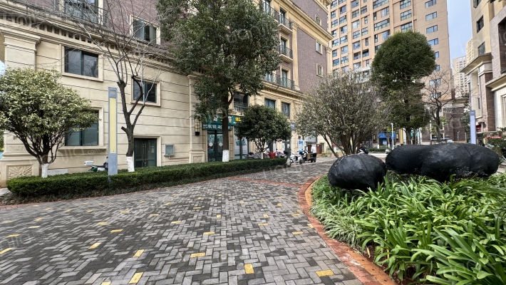 莲花池畔外景图