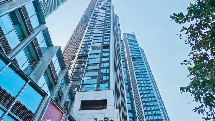 独树阳光里外景图