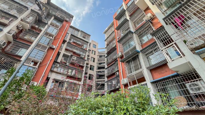 绿岛C组团外景图