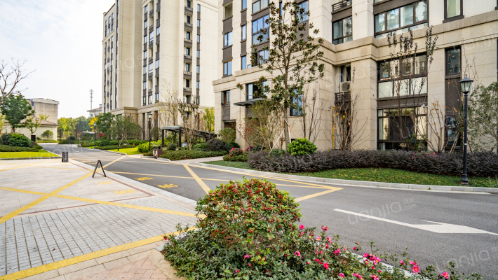 新桥风情外景图