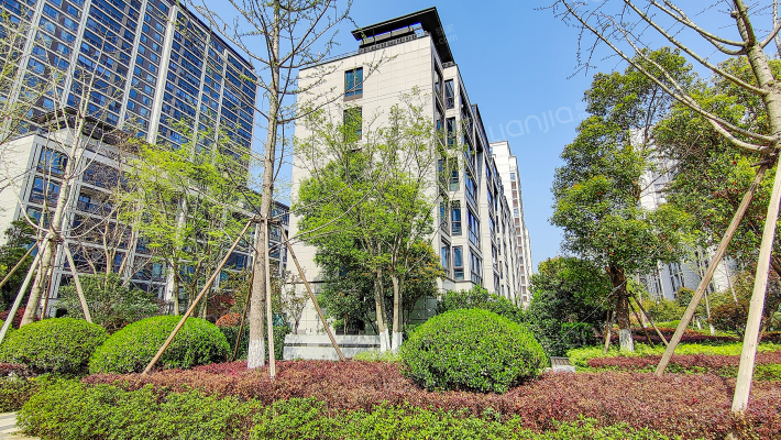 荣安合苑外景图