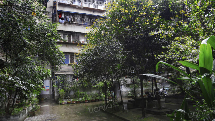 布坝子街8号外景图