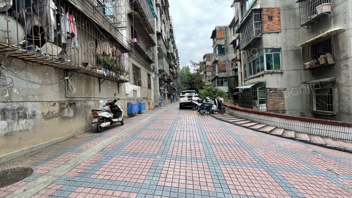 桃园路126号外景图