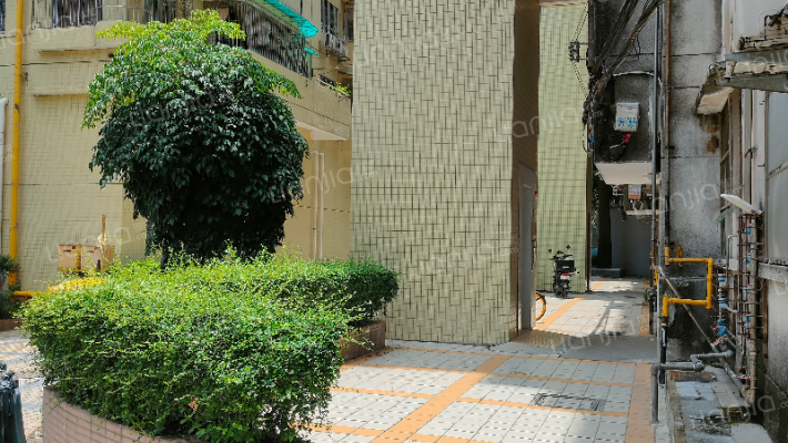 粤电花园外景图