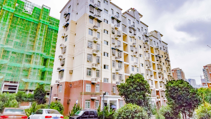 和平家园A1区外景图