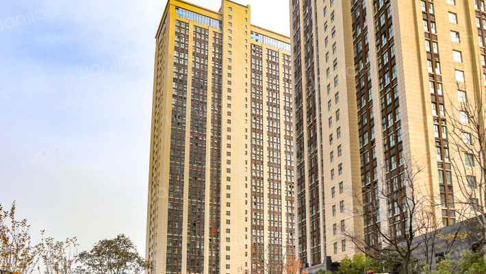 迷你港湾外景图