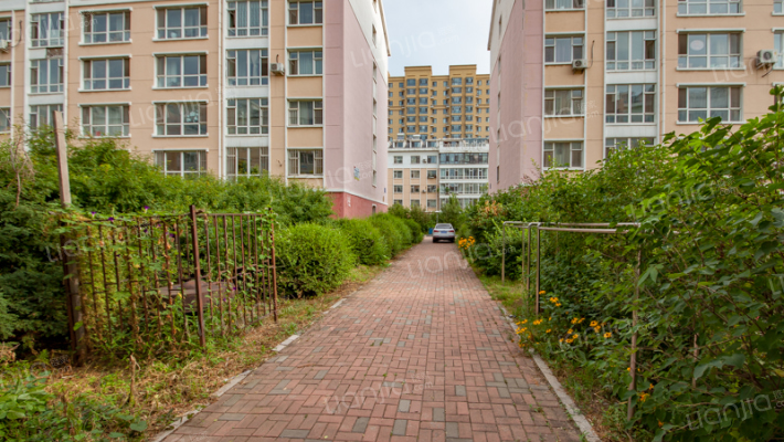 吉大南校家属楼外景图