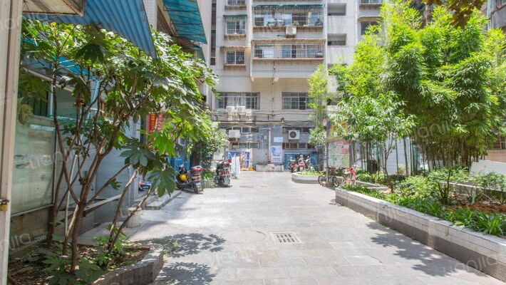 神奇路社区外景图