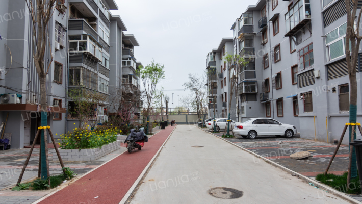 苹果园河大老区外景图