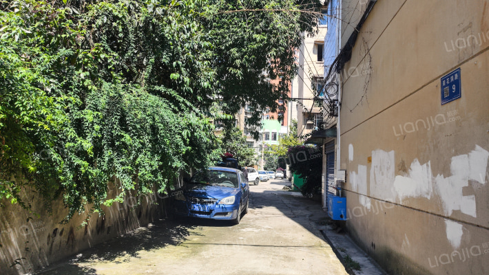 菊花洞路外景图